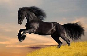 horse, a horse, my kingdom for a horse